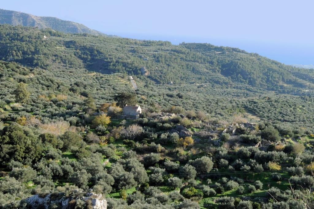 Mala Villa Malles Buitenkant foto